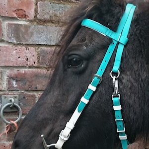 Synthetic Western Head Stall in Matt Teal and White Biothane