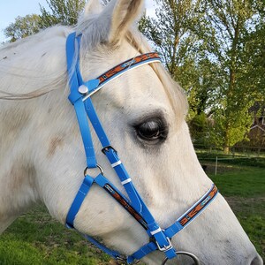 Perfeq 2 Part Deluxe Biothane Bridle in Matt Pale Blue and White with Apache Arrow overlay