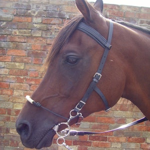 Perfeq C Bit Bridle for Combination bits such as Mylar and Hackmore
