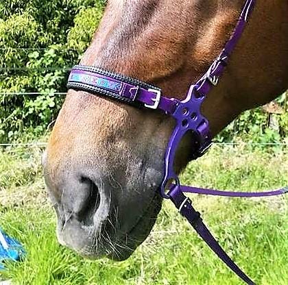Mules plates en cuir cognac avec ornements - Tunisie