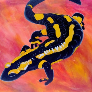 Feuersalamander // Giclee Bunter Tierdruck