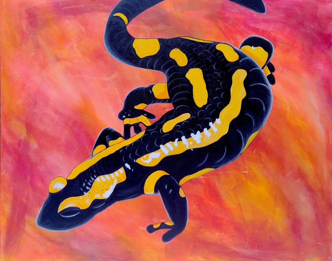 Fire Salamander // Giclee Colorful Abstract Animal Print - Etsy