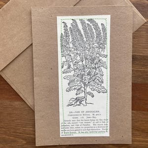 Grußkarte, Eiche von Jerusalem, handgenäht auf braunem Kraftpapierkarton, leere Innenseite
