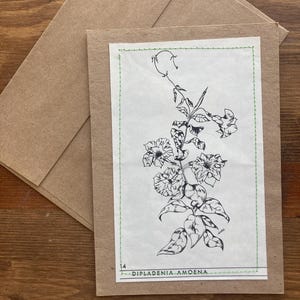 Carte de voeux, faite main, Dipladenia Amoena fleur de vigne, cousue sur papier cartonné naturel, kraft, vierge à l'intérieur