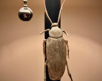 Cockroach Magnet