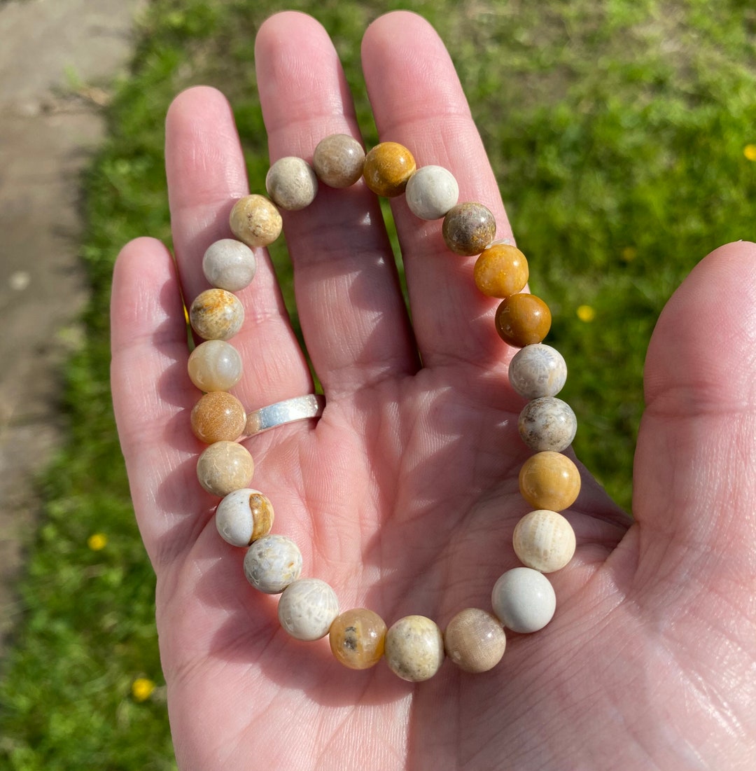 Coral Jade/Fossil Coral Bead Bracelet Etsy Italia