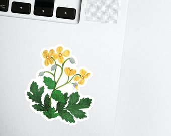 Celandine Poppy Wildflower Decal | Weatherproof Bumper Sticker for Laptop Water Bottle | Gift for Gardener Native Plant Lover