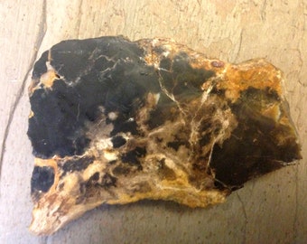Lovely Palm Tree Petrified Wood Carved into Heart Polished 44mm 155ct Natural Fossilized Palmoxylon Agate Gemstone Crystal Mineral Specimen