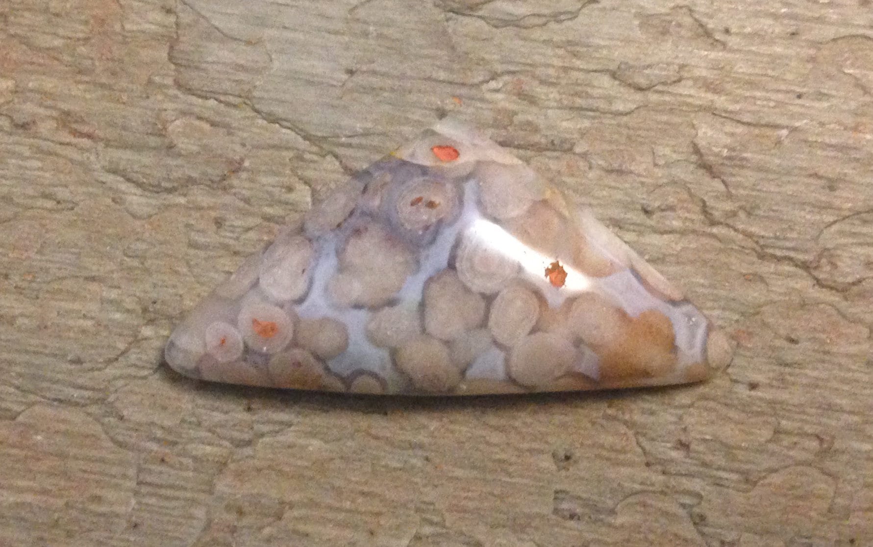 Fish Eggs Agate Cabochon.snake Eyes Agate. Etsy UK