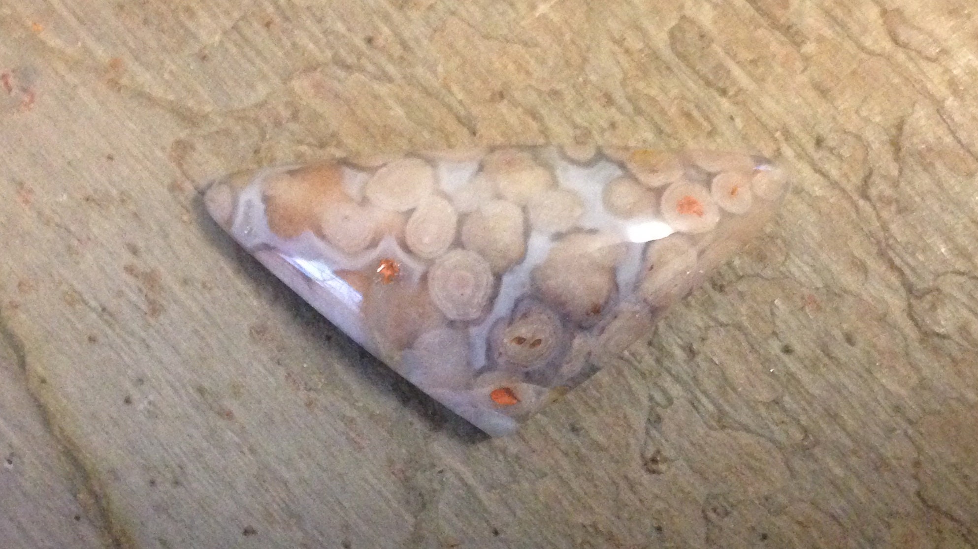 Fish Eggs Agate Cabochon.snake Eyes Agate. Etsy UK