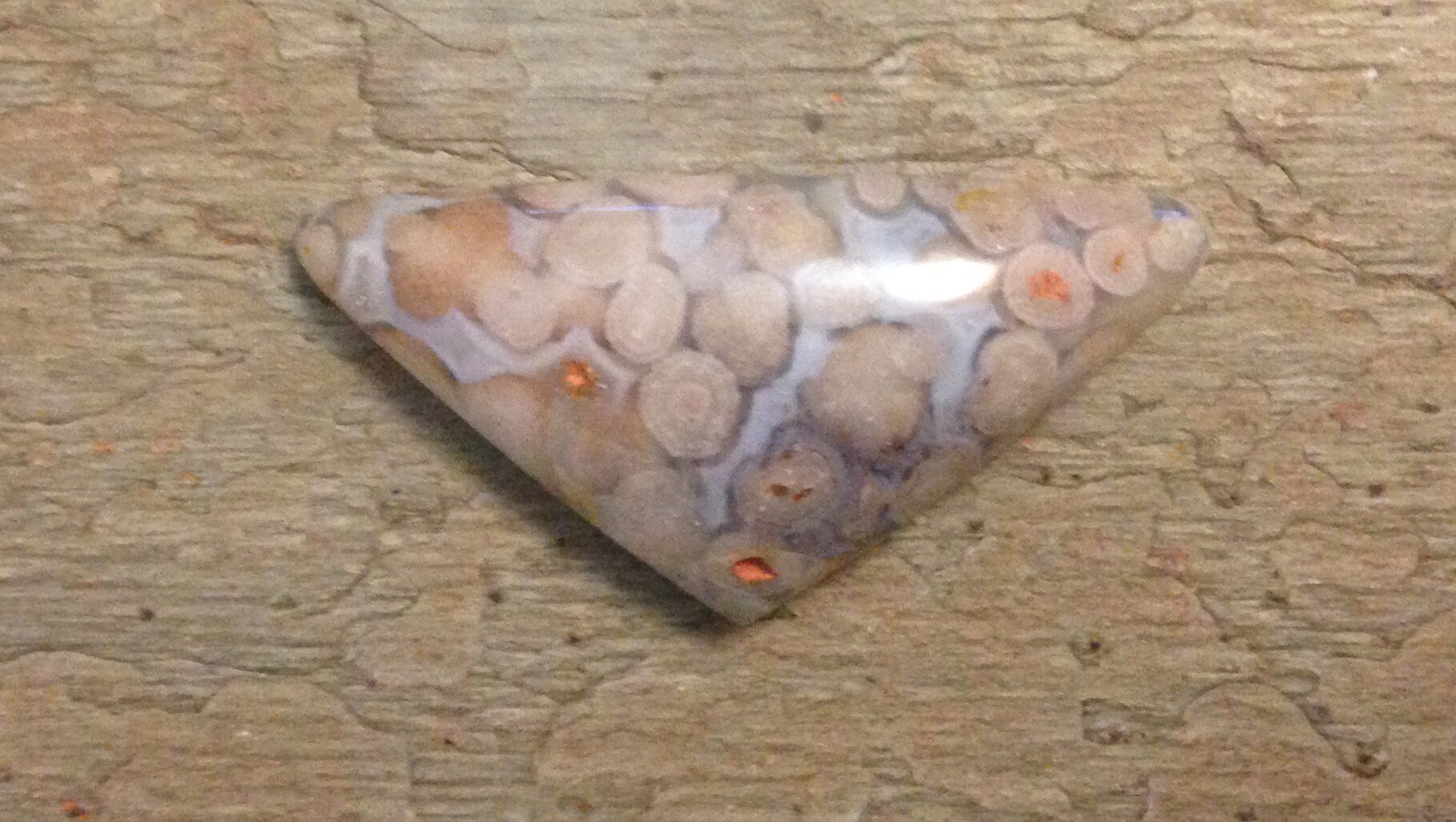 Fish Eggs Agate Cabochon.snake Eyes Agate. Etsy UK