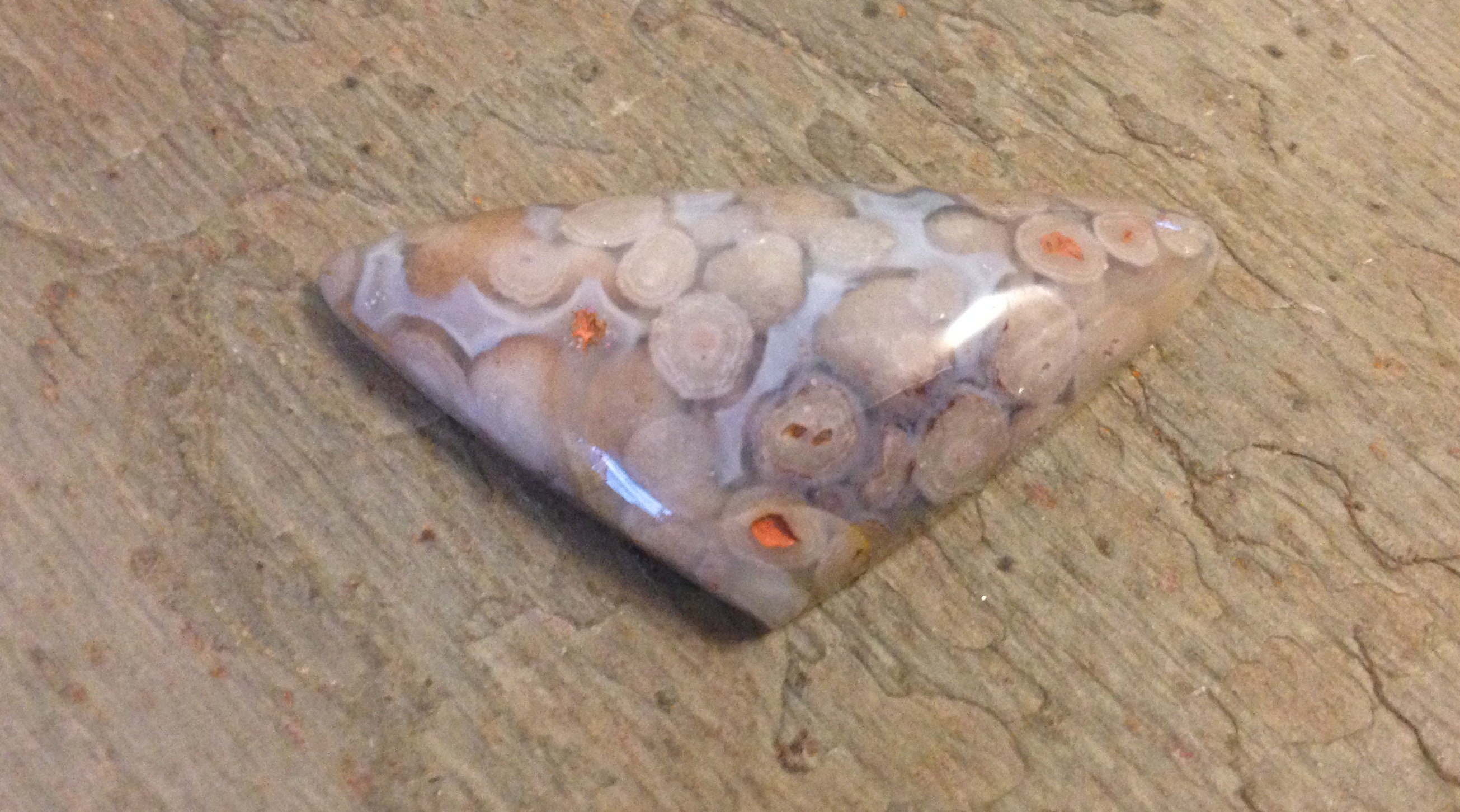 Fish Eggs Agate Cabochon.snake Eyes Agate. Etsy UK