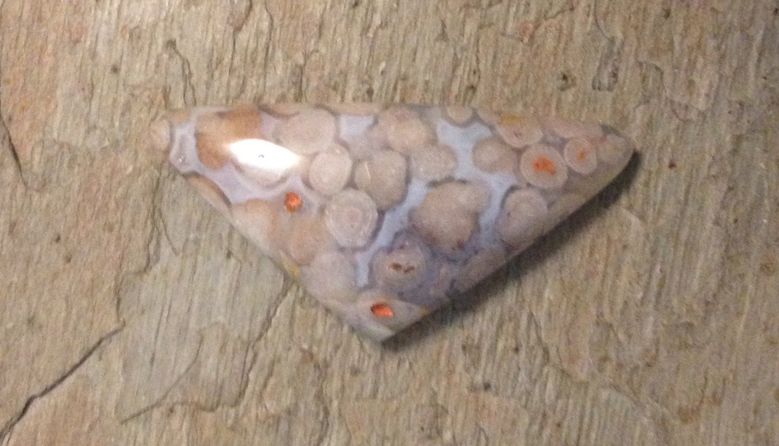 Fish Eggs Agate Cabochon.snake Eyes Agate. Etsy UK