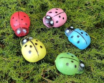 May include: Five colorful ladybug figurines in red, pink, blue, yellow, and green, each with black spots and a glossy finish. The ladybugs are arranged on a bed of green moss, creating a whimsical and natural scene.