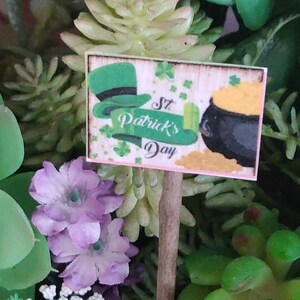 May include: A miniature St. Patrick's Day sign featuring a green top hat, a pot of gold, and the text "St. Patrick's Day" on a wooden stake. The sign is set against a backdrop of green and purple plants.