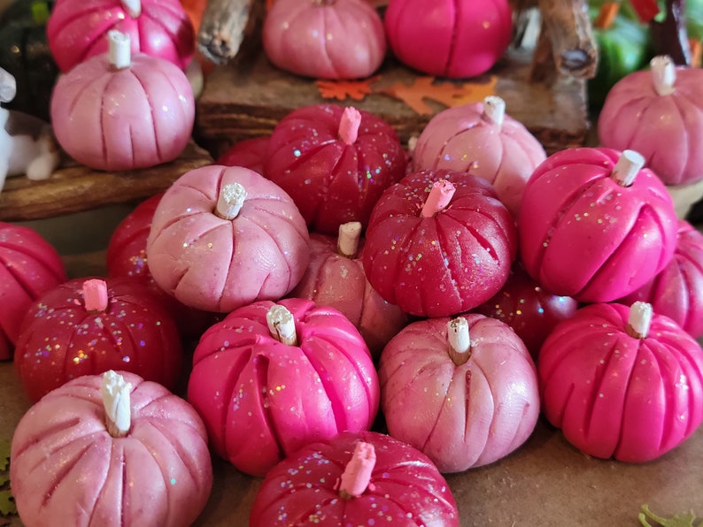 3 Pink Pumpkins, Dollhouse, Fairy Garden, Miniature, Fall, Halloween, Hot Pink Pumpkins, White Stems, Pink Stems, Clay Pumpkins, Fall Garden image 2