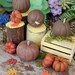 see more listings in the PUMPKIN PATCH/ MUSHROOMS section