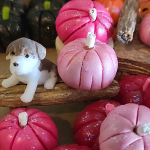 3 Pink Pumpkins, Dollhouse, Fairy Garden, Miniature, Fall, Halloween, Hot Pink Pumpkins, White Stems, Pink Stems, Clay Pumpkins, Fall Garden image 7