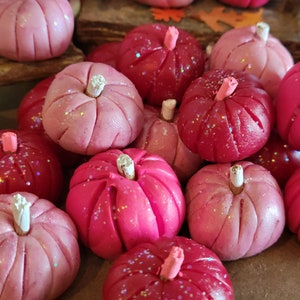 3 Pink Pumpkins, Dollhouse, Fairy Garden, Miniature, Fall, Halloween, Hot Pink Pumpkins, White Stems, Pink Stems, Clay Pumpkins, Fall Garden image 4