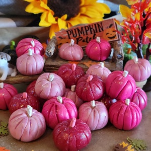 3 Pink Pumpkins, Dollhouse, Fairy Garden, Miniature, Fall, Halloween, Hot Pink Pumpkins, White Stems, Pink Stems, Clay Pumpkins, Fall Garden image 3