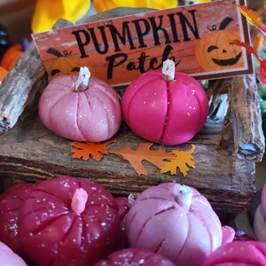 3 Pink Pumpkins, Dollhouse, Fairy Garden, Miniature, Fall, Halloween, Hot Pink Pumpkins, White Stems, Pink Stems, Clay Pumpkins, Fall Garden image 5