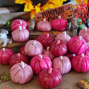 3 Pink Pumpkins, Dollhouse, Fairy Garden, Miniature, Fall, Halloween, Hot Pink Pumpkins, White Stems, Pink Stems, Clay Pumpkins, Fall Garden image 9