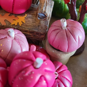3 Pink Pumpkins, Dollhouse, Fairy Garden, Miniature, Fall, Halloween, Hot Pink Pumpkins, White Stems, Pink Stems, Clay Pumpkins, Fall Garden image 8