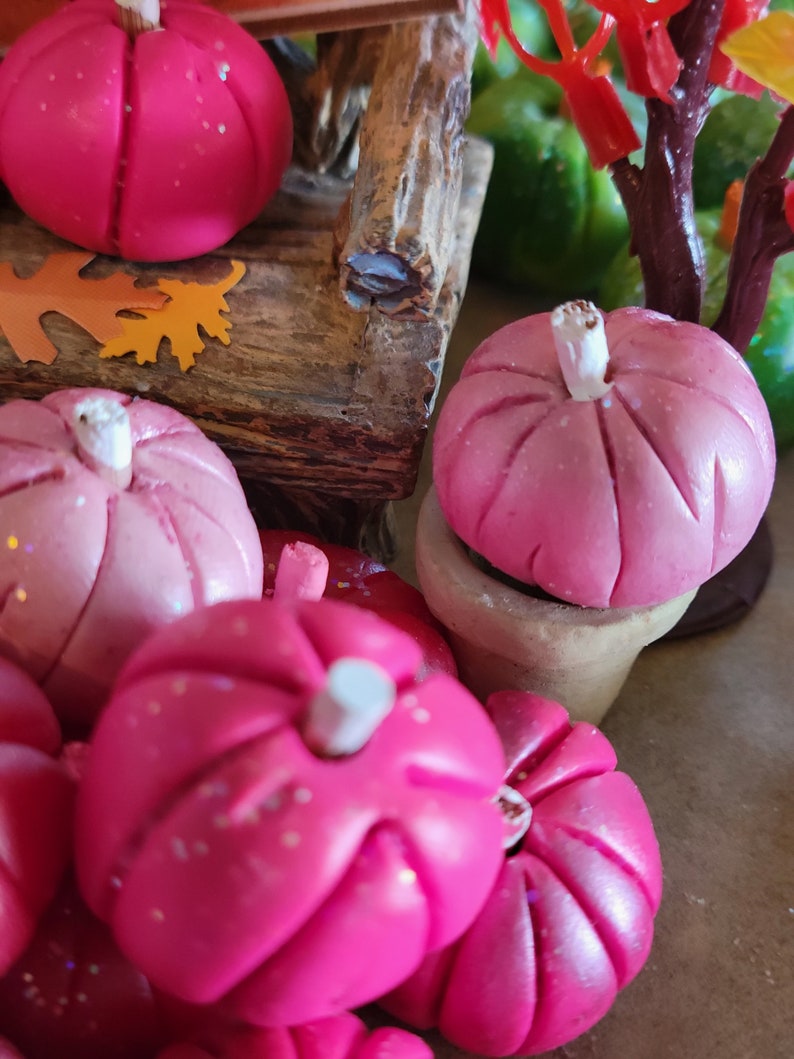 3 Pink Pumpkins, Dollhouse, Fairy Garden, Miniature, Fall, Halloween, Hot Pink Pumpkins, White Stems, Pink Stems, Clay Pumpkins, Fall Garden image 8