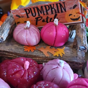 3 Pink Pumpkins, Dollhouse, Fairy Garden, Miniature, Fall, Halloween, Hot Pink Pumpkins, White Stems, Pink Stems, Clay Pumpkins, Fall Garden image 6