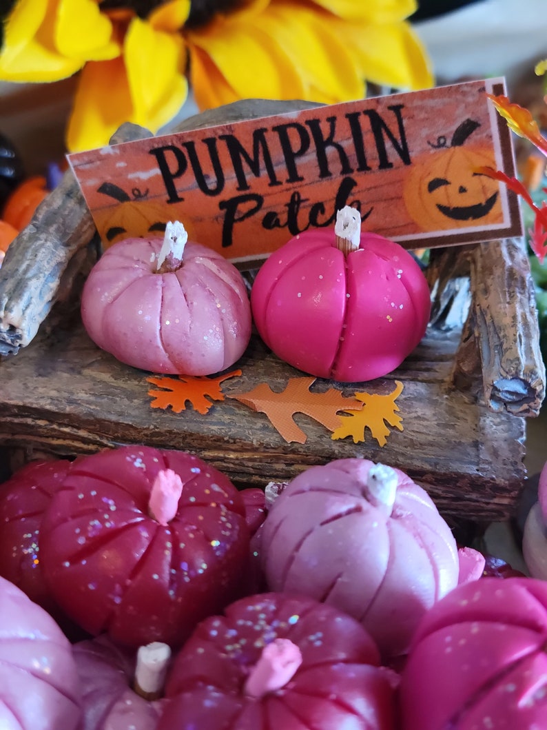 3 Pink Pumpkins, Dollhouse, Fairy Garden, Miniature, Fall, Halloween, Hot Pink Pumpkins, White Stems, Pink Stems, Clay Pumpkins, Fall Garden image 6