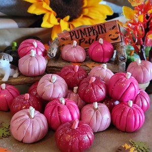 Puede incluir: Una colección de calabazas rosas en varios tonos, desde claro hasta rosa intenso, con detalles de purpurina. Un pequeño letrero dice "Pumpkin Patch". También hay una figura de perro en miniatura. Una decoración festiva de otoño.