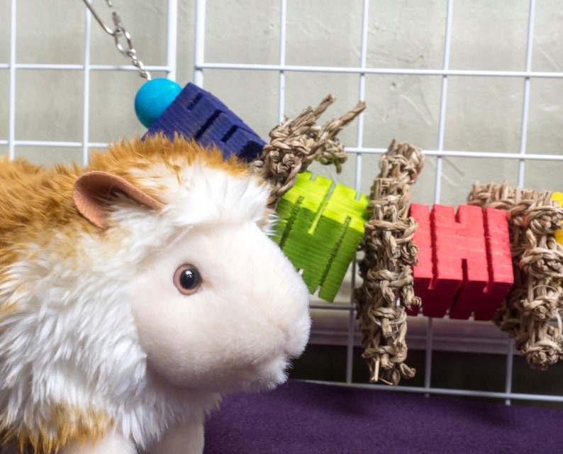 True Love Chew Toy for Guinea Pigs Chinchillas and Bunny Etsy