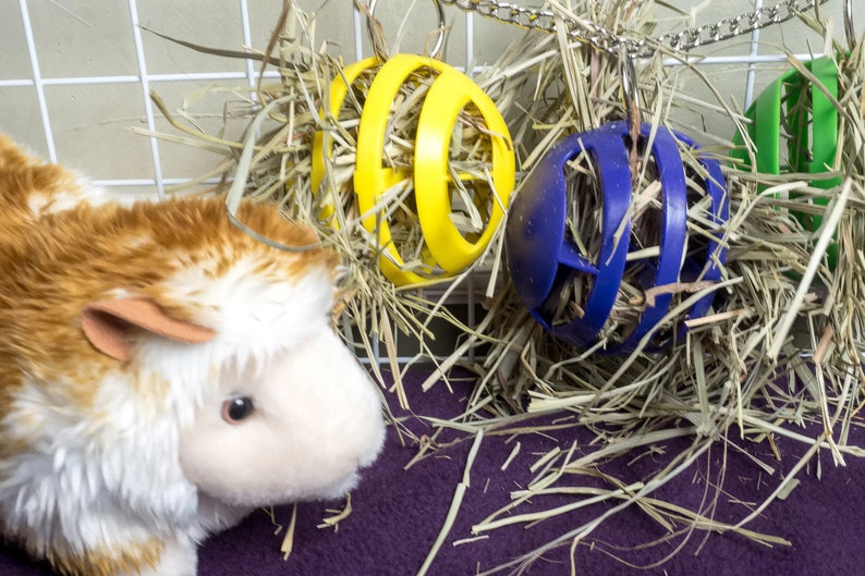 Foraging Balls Veggie/Hay Holder Guinea Pig Chinchilla Bunny Etsy