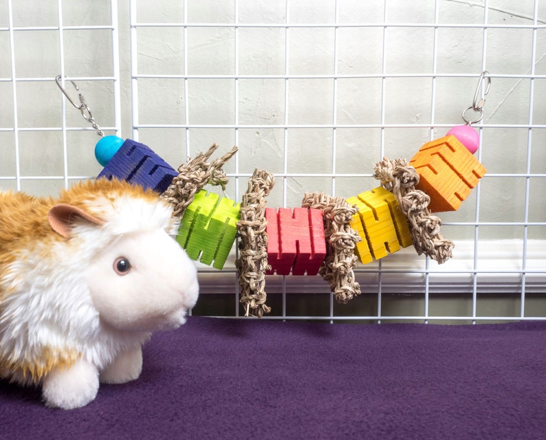 True Love Chew Toy for Guinea Pigs Chinchillas and Bunny Etsy