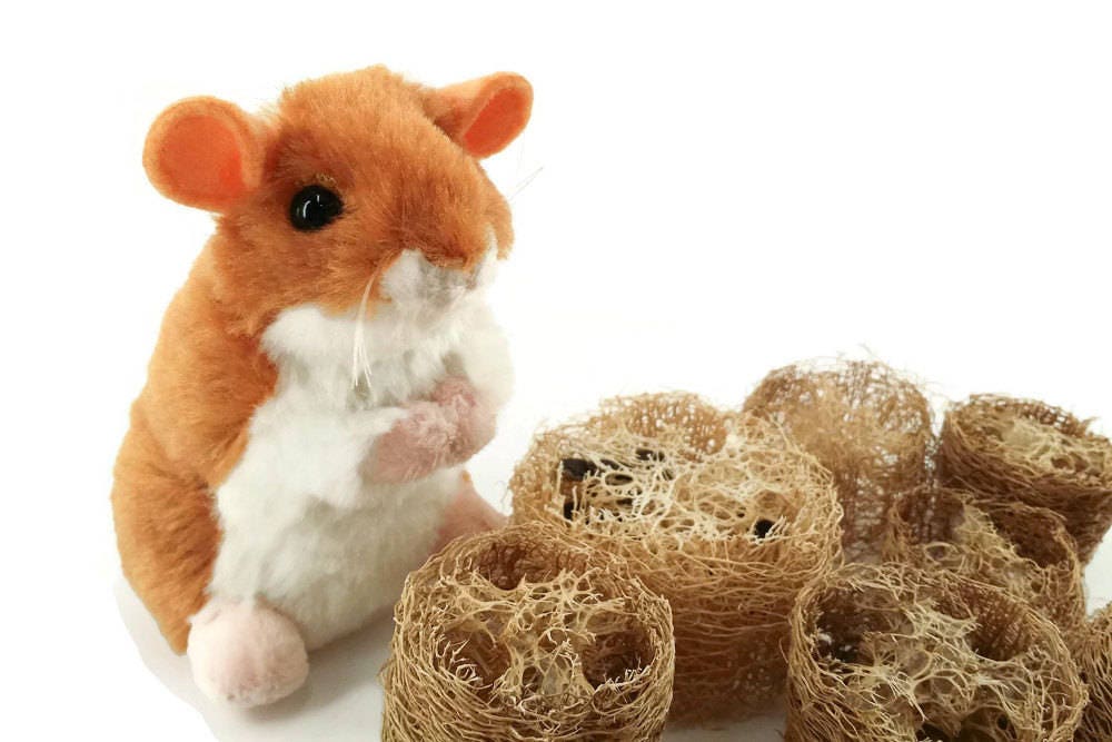Natural Loofah Chews - Chew Toy Small Animals Guinea Pig Hamster Bird…