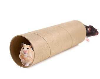 Cardboard Tunnel - Hamsters, Rats, Small Animals