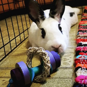 Fun Bun's Rabbit Roller - Toy for Bunny Rabbits - Etsy