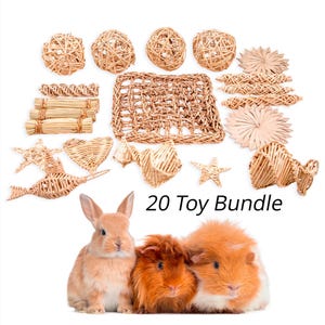 Natural Nibbles Chew Toy Collection for Bunny Rabbits, Guinea Pigs, Chinchillas - Great Gift, Free Shipping