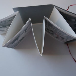 Fox Silent Story Concertina artist book image 3