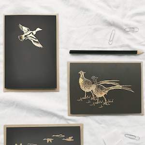 Satz von 6 Game Birds Karten | Fasan, Gänse & Entenkarten | Spiel Vögel Kunstkarten | Vogel-Liebhaber-Geschenk-Set | Karte Geschenk-Set | Fasan-Karte