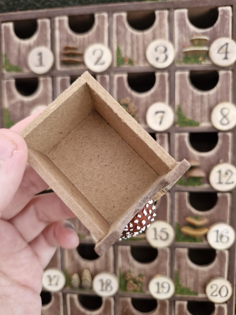Mushroom Fairytale Advent Calendar Toadstools Nature Festive Moss