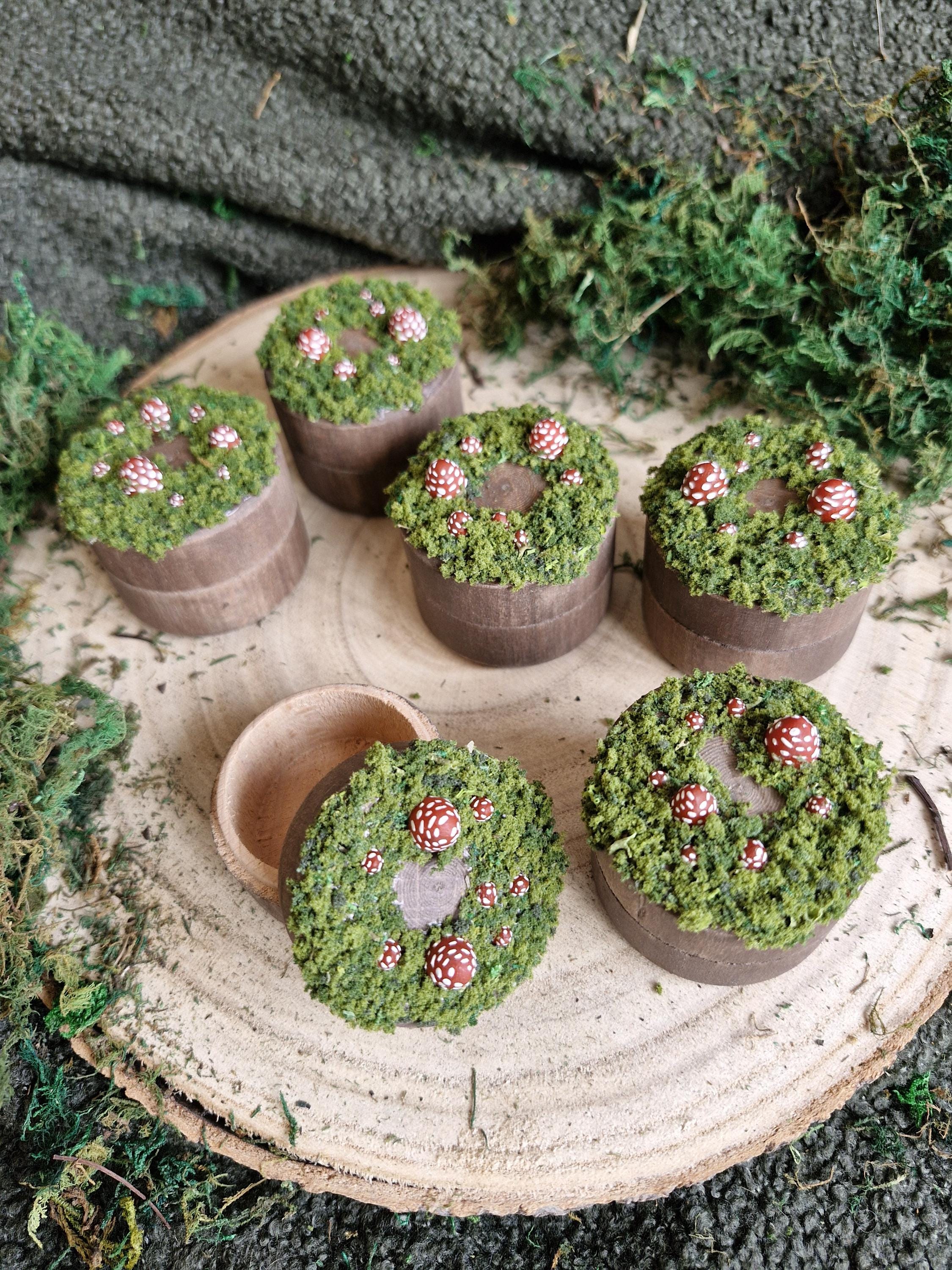 Fairy Ring Inspired Toadstool Mini Wooden Pots - Mushroom - Fairytale - Gift - Mushies - Trinket box - Pixie - Witchy - Magical