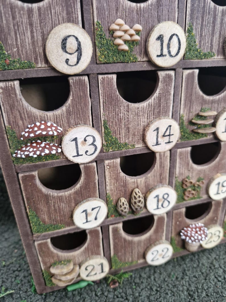 Mushroom Fairytale Advent Calendar Toadstools Nature Festive Moss