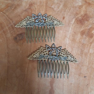 Creation - Pair of Belle Epoque Art Nouveau combs gilded with steel tips and openwork flower shapes