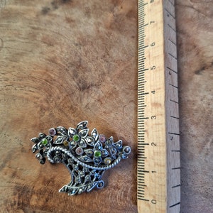 Broche en fer à cheval - France