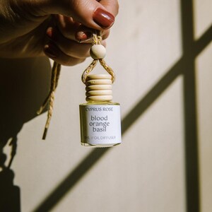 Car Diffuser Freshie | Car Freshener | Hanging Car Scents | Cute Car Accessories for Women