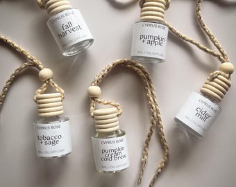 Difusor de coche otoñal / ambientador para coche / accesorios de coche bonitos para mujer / difusor colgante / Halloween / otoño / aromas navideños
