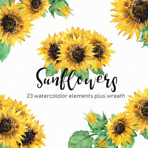Malowane ręcznie - Słonecznik clipart - Słoneczniki akwarelowe - kwiat clipart - ślub clipart - rustykalny clipart - pobierz - Użytek komercyjny