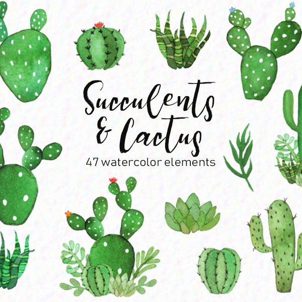 Watercolor cactus - cactus clipart - watercolor succulents - succulent clip art - watercolor greenery - instant download - Commercial Use