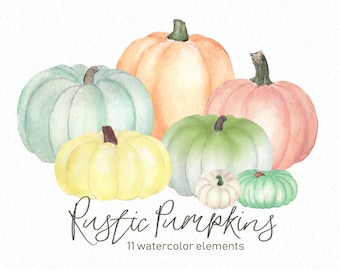 Handpainted Rustic Watercolor Pumpkins - Neutral Pumpkins - White pumpkin- Watercolor pumpkins - fall clipart -  download - Commercial Use